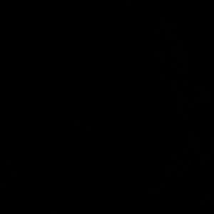 Meet your Posher, Lorelei